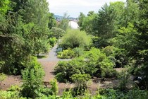 Neuigkeiten Initiative Gegen Einen Hotelbau Im Denkmalgeschutzten Ensemble Des Botanischen Garten Jena Online Petition